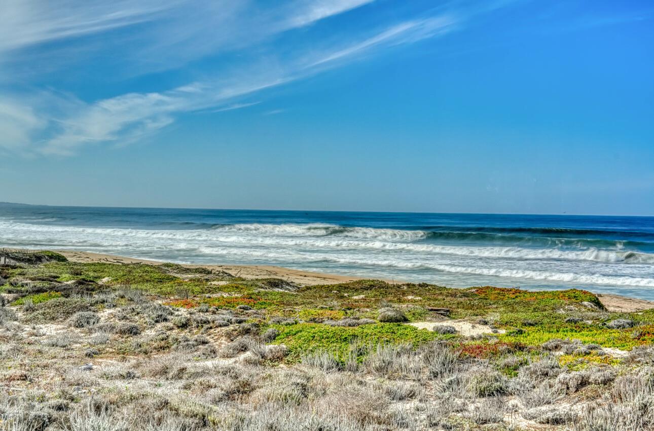 Detail Gallery Image 58 of 58 For 198 Monterey Dunes Way, Moss Landing,  CA 95039 - 4 Beds | 3 Baths