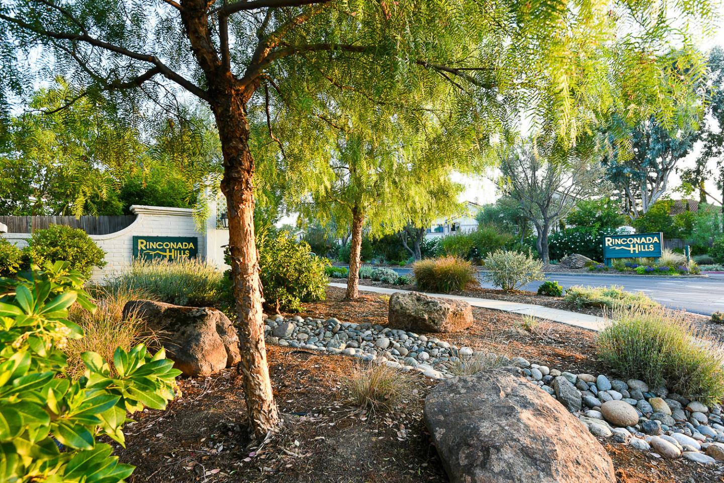 Browse active condo listings in RINCONADA HILLS