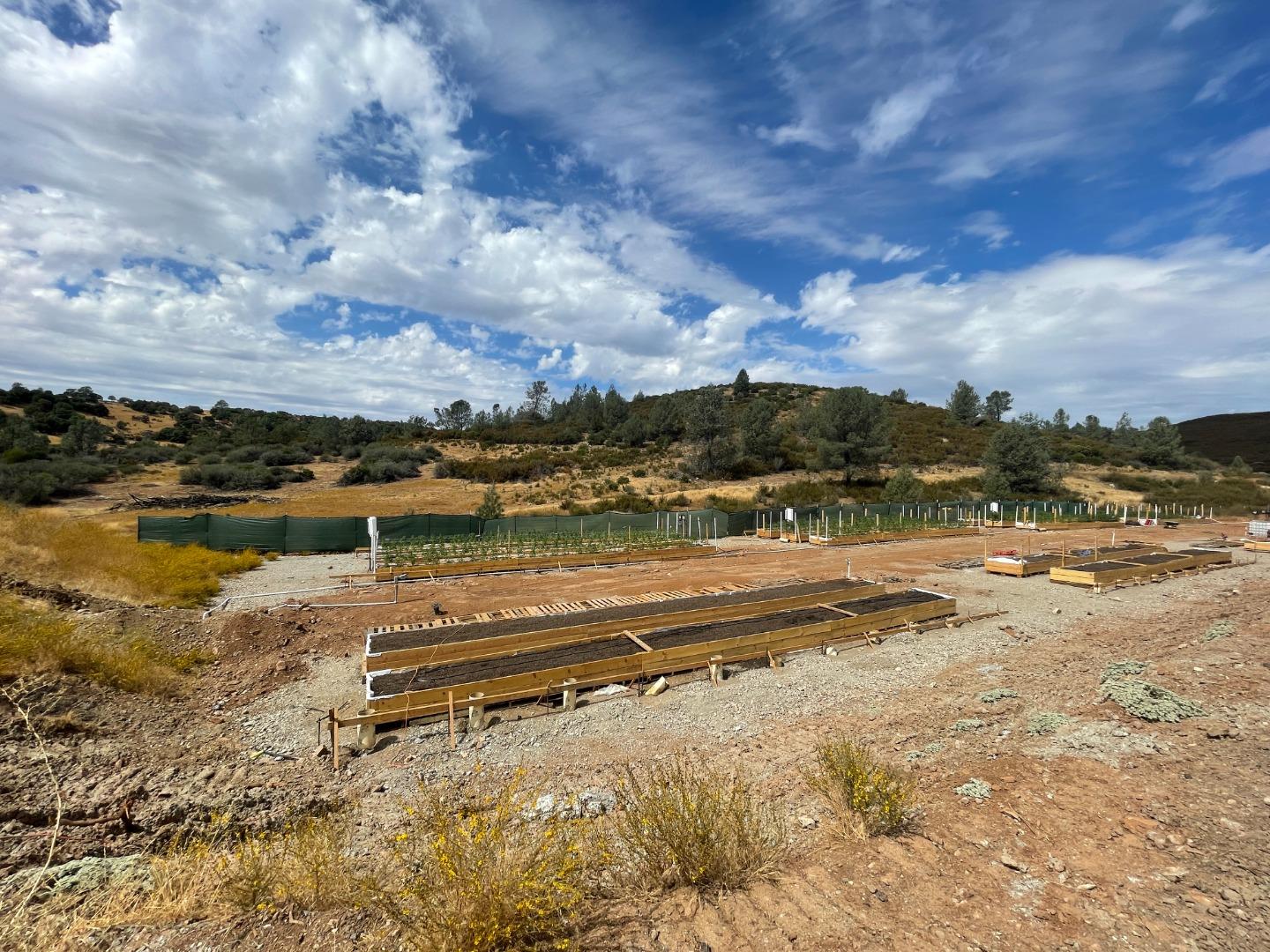 Detail Gallery Image 3 of 18 For 201 Bonanza Mine Way, Angels Camp,  CA 95222 - 3 Beds | 3 Baths