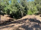 12 Montecito Road, Woodside, California 94062, ,Land,For Sale,12 Montecito Road,ML81985120
