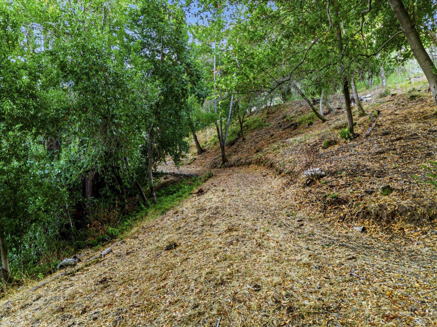 12 Montecito Road, Woodside, California 94062, ,Land,For Sale,12 Montecito Road,ML81985120