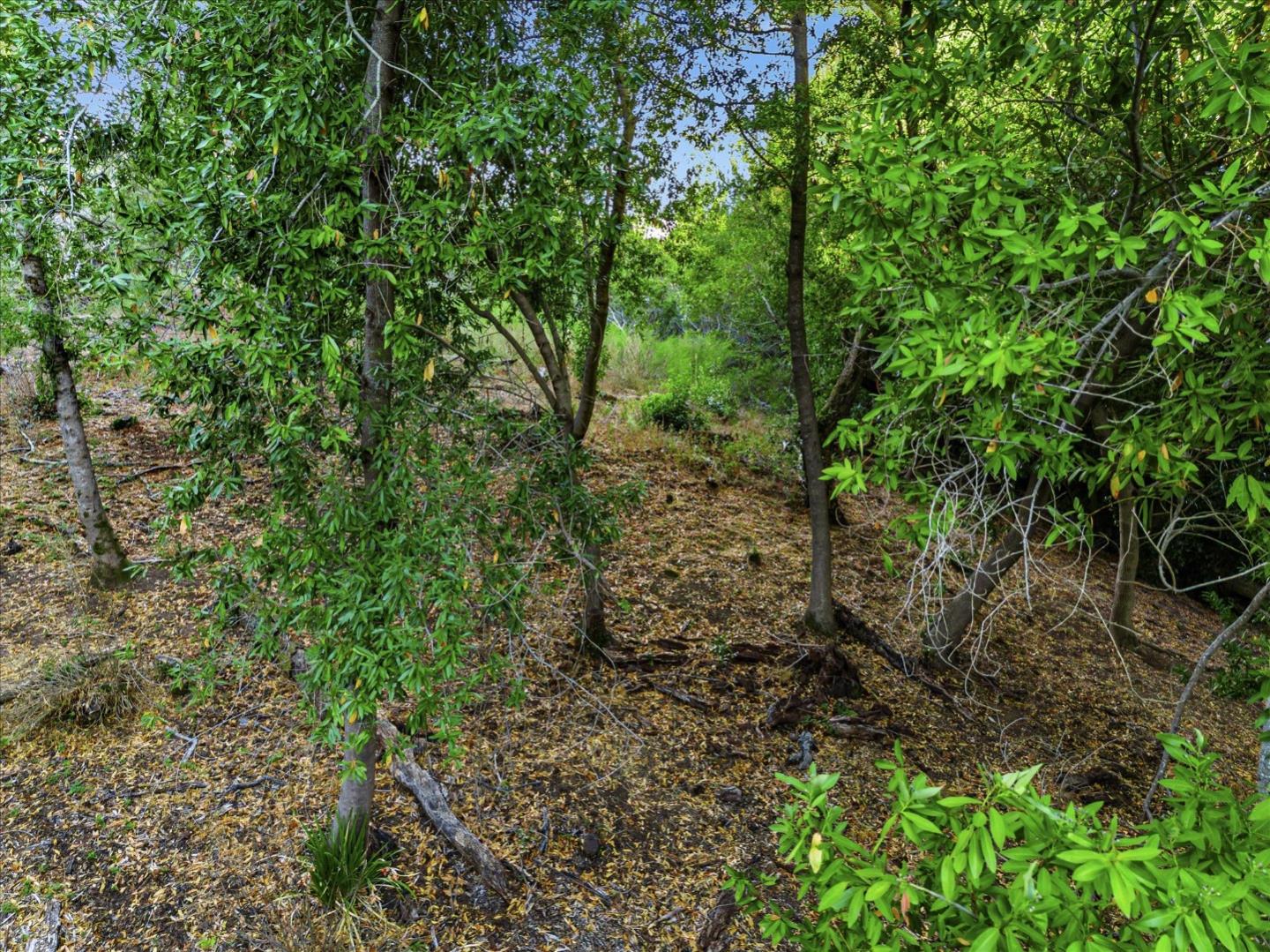 12 Montecito Road, Woodside, California 94062, ,Land,For Sale,12 Montecito Road,ML81985120