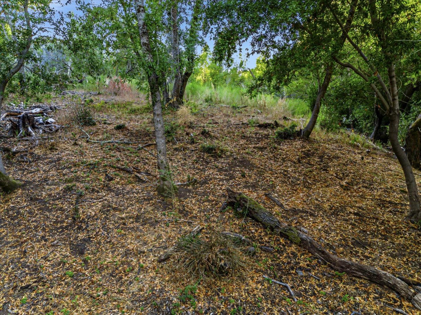 12 Montecito Road, Woodside, California 94062, ,Land,For Sale,12 Montecito Road,ML81985120