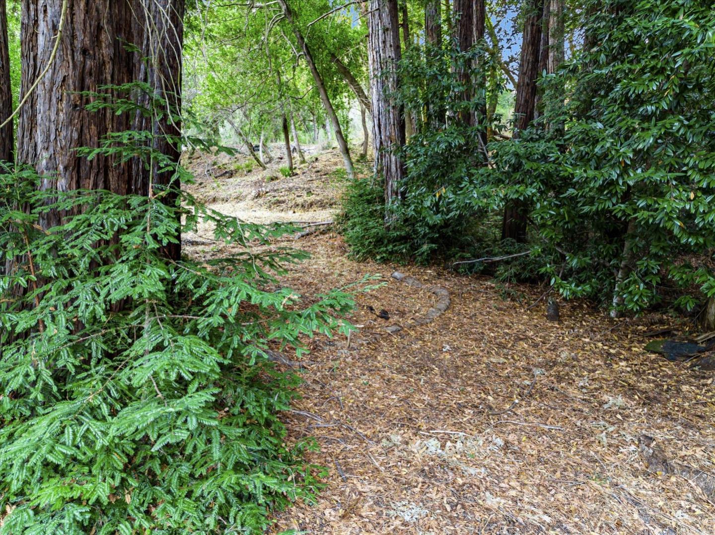 12 Montecito Road, Woodside, California 94062, ,Land,For Sale,12 Montecito Road,ML81985120