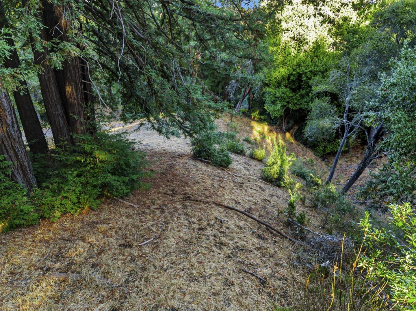 12 Montecito Road, Woodside, California 94062, ,Land,For Sale,12 Montecito Road,ML81985120