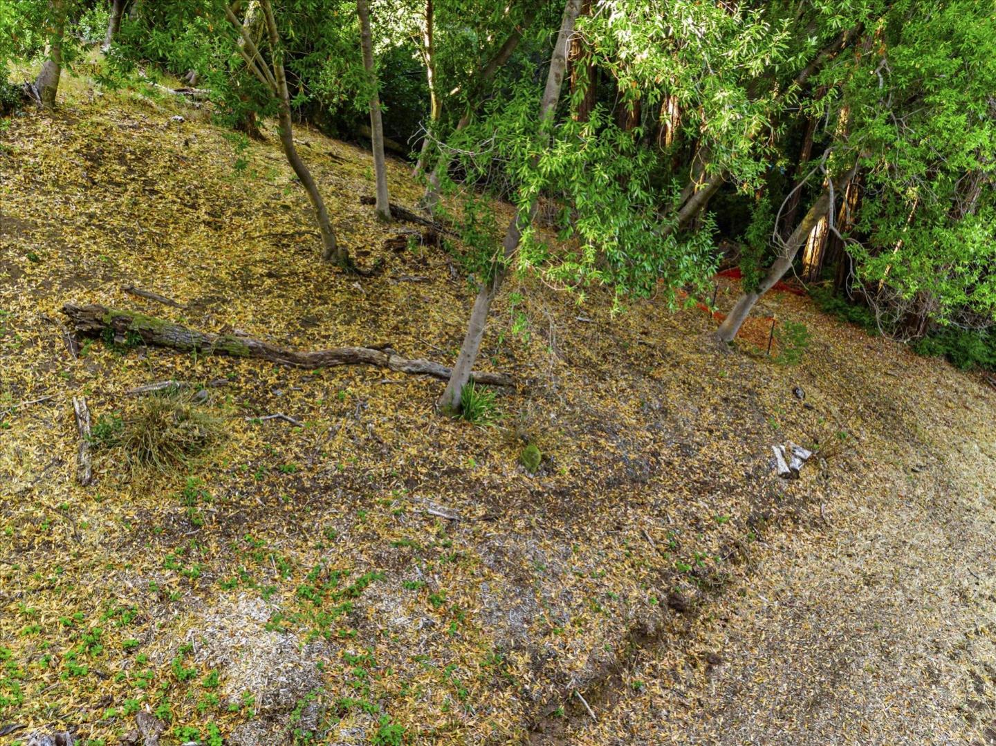 12 Montecito Road, Woodside, California 94062, ,Land,For Sale,12 Montecito Road,ML81985120