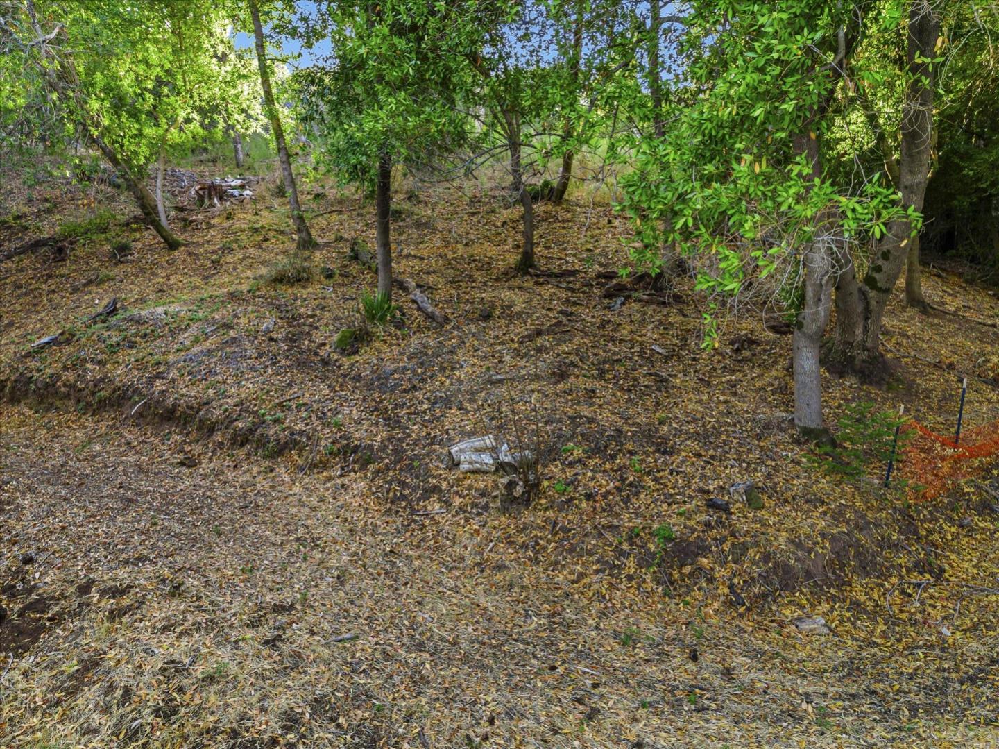 12 Montecito Road, Woodside, California 94062, ,Land,For Sale,12 Montecito Road,ML81985120