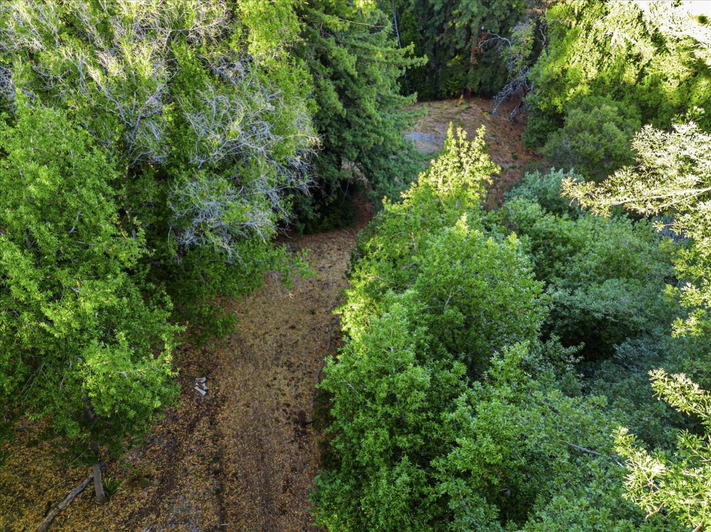 12 Montecito Road, Woodside, California 94062, ,Land,For Sale,12 Montecito Road,ML81985120