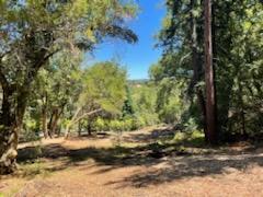 12 Montecito Road, Woodside, California 94062, ,Land,For Sale,12 Montecito Road,ML81985120