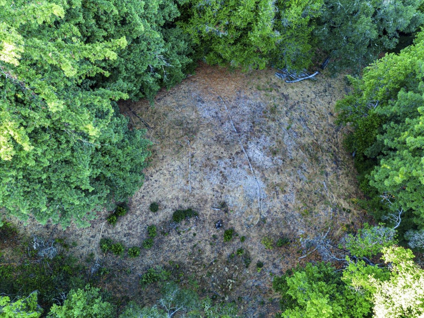 12 Montecito Road, Woodside, California 94062, ,Land,For Sale,12 Montecito Road,ML81985120