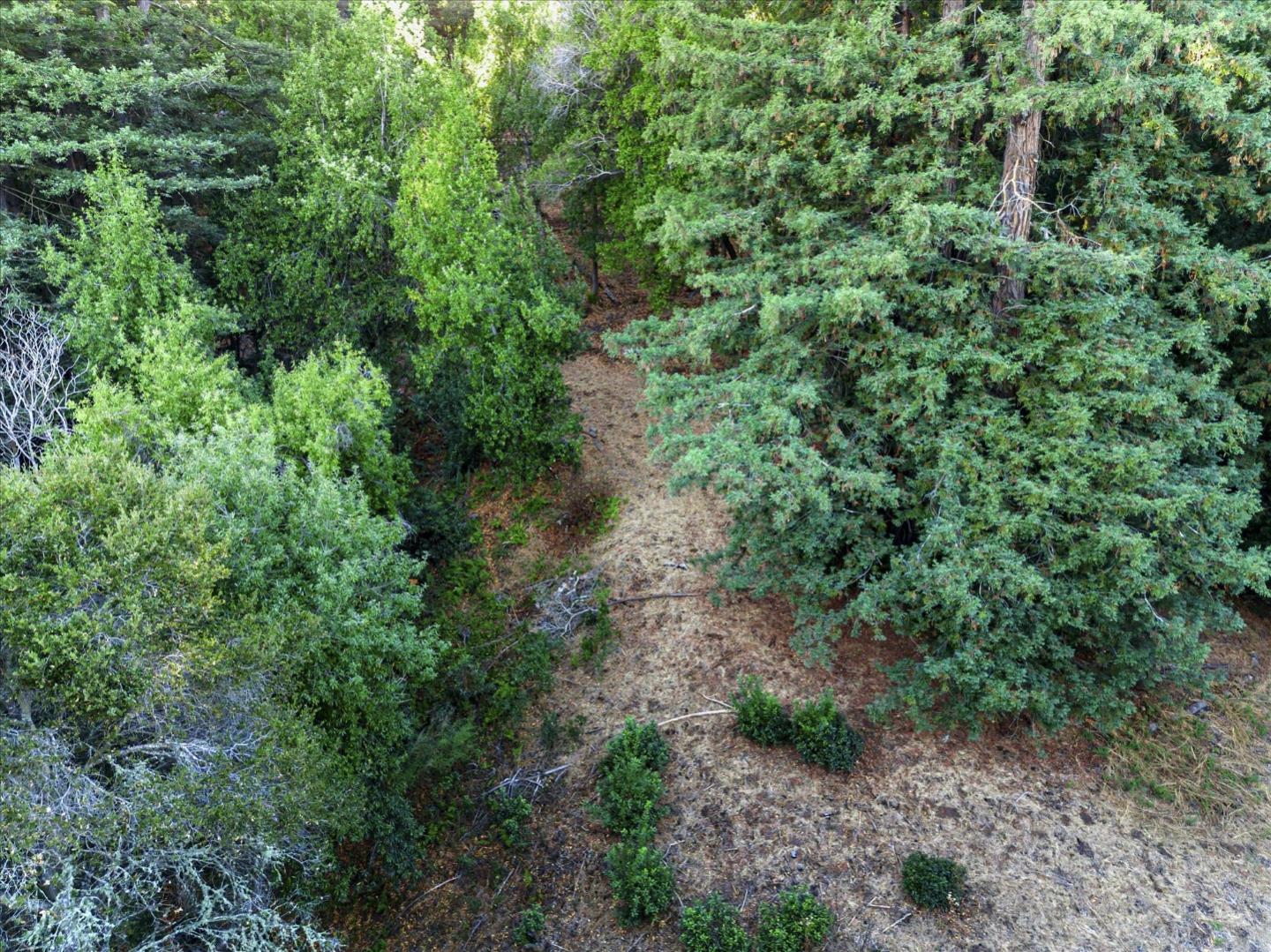12 Montecito Road, Woodside, California 94062, ,Land,For Sale,12 Montecito Road,ML81985120