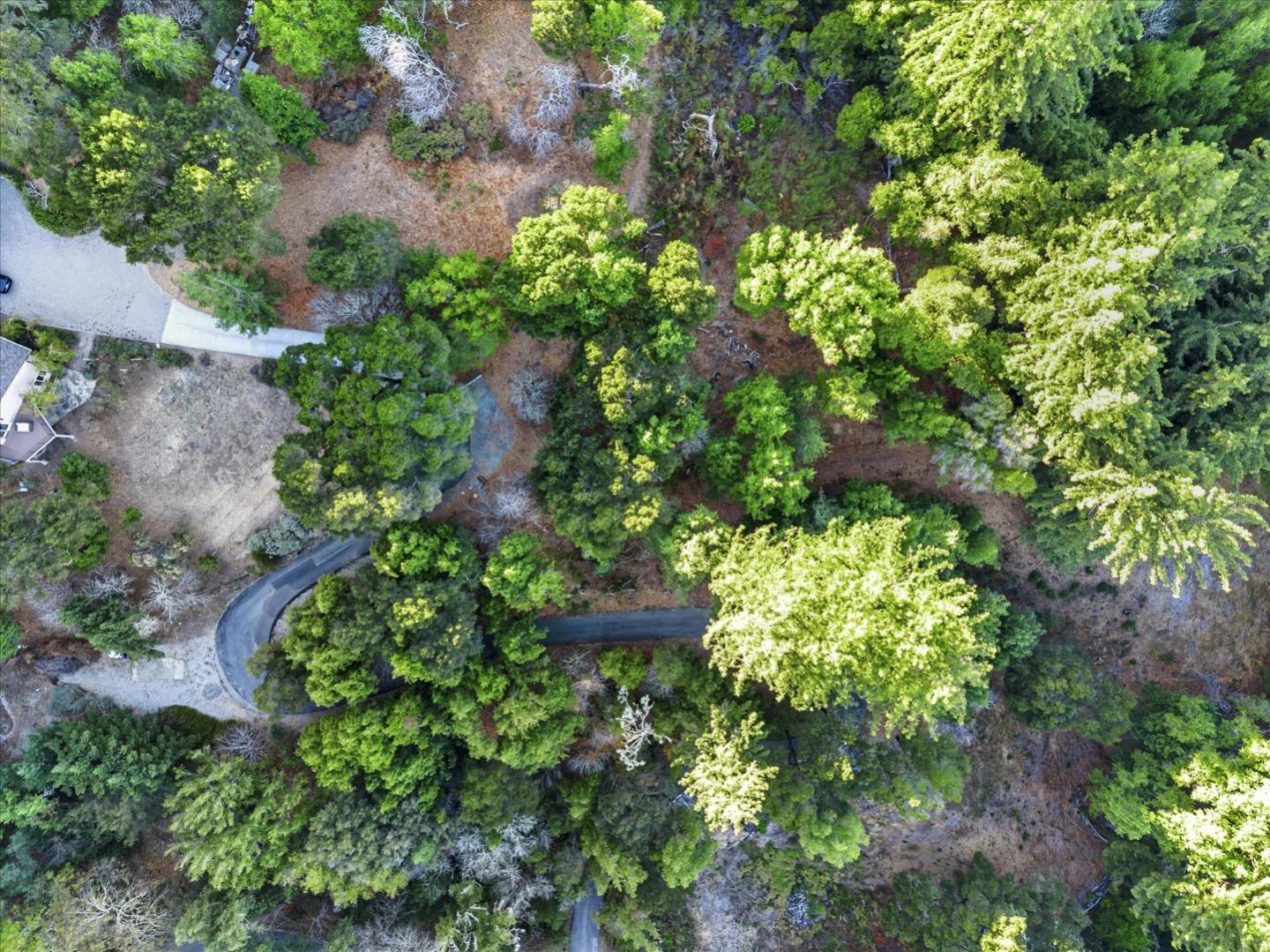 12 Montecito Road, Woodside, California 94062, ,Land,For Sale,12 Montecito Road,ML81985120
