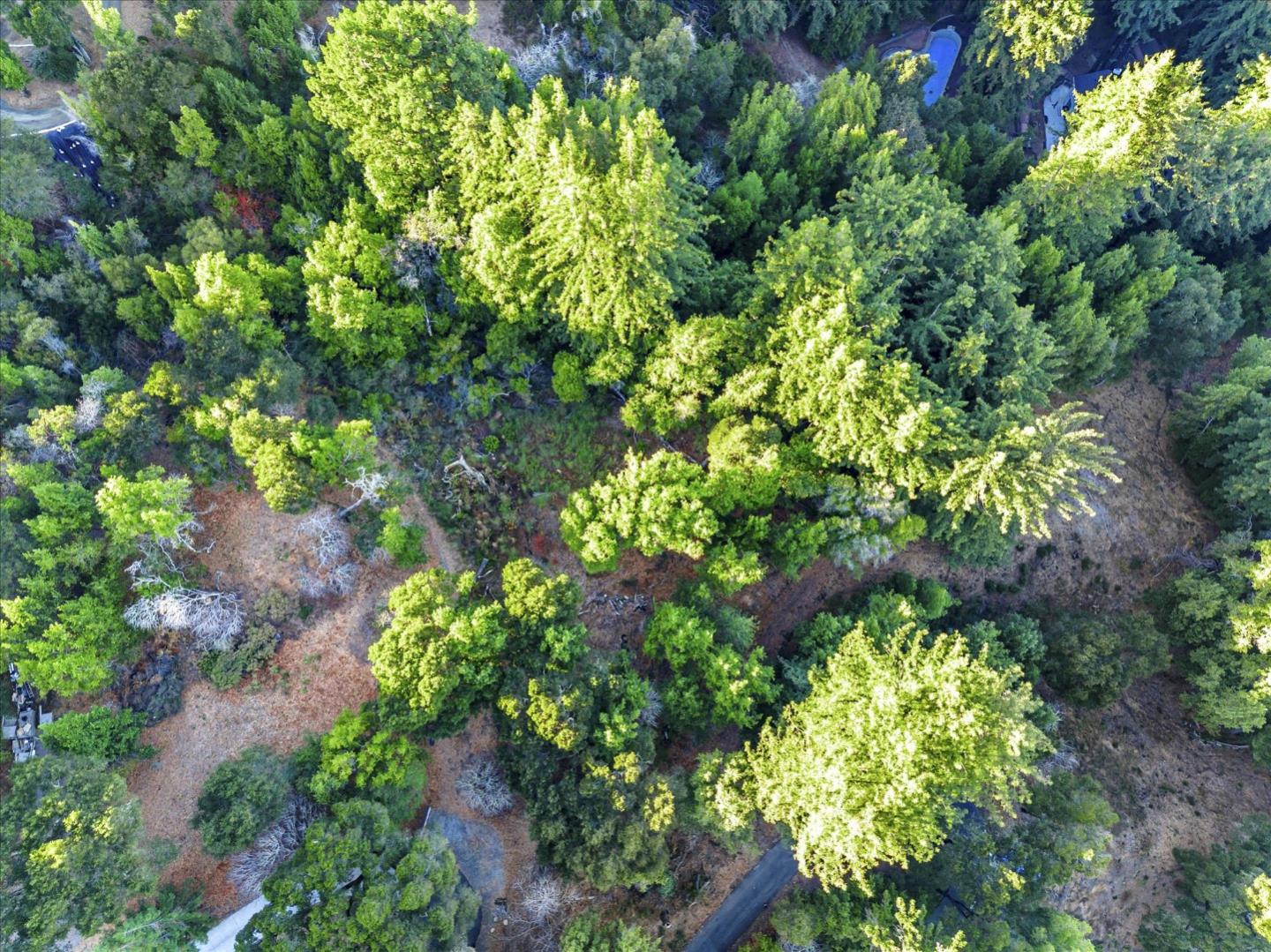 12 Montecito Road, Woodside, California 94062, ,Land,For Sale,12 Montecito Road,ML81985120