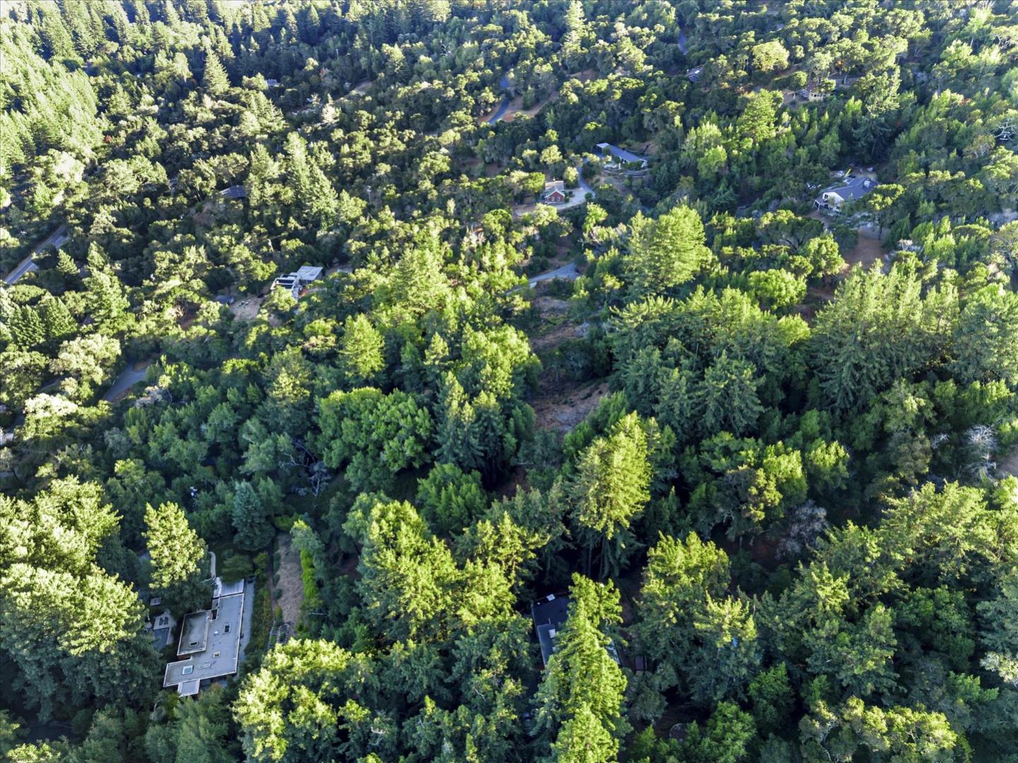 12 Montecito Road, Woodside, California 94062, ,Land,For Sale,12 Montecito Road,ML81985120