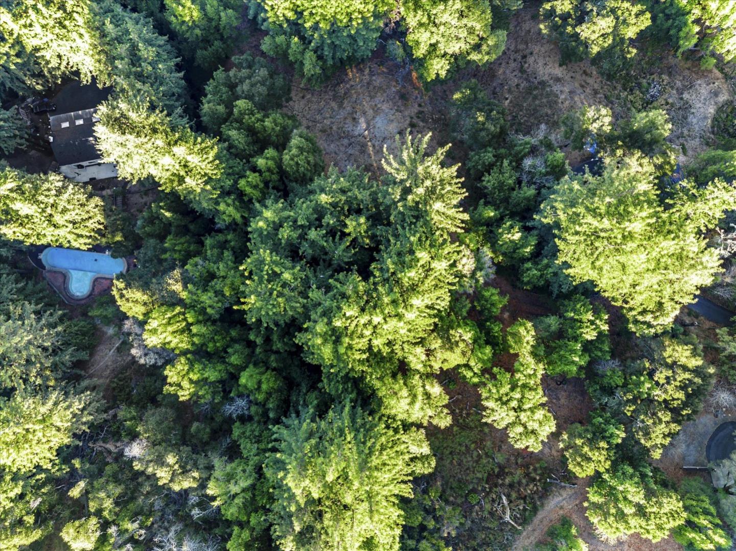 12 Montecito Road, Woodside, California 94062, ,Land,For Sale,12 Montecito Road,ML81985120