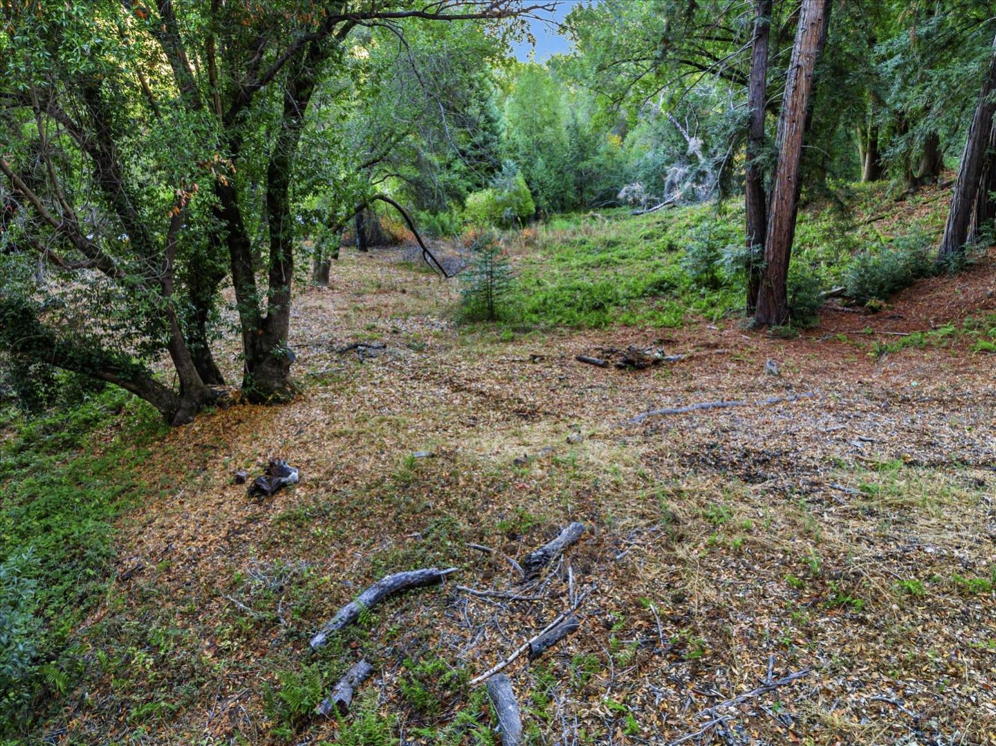 12 Montecito Road, Woodside, California 94062, ,Land,For Sale,12 Montecito Road,ML81985120