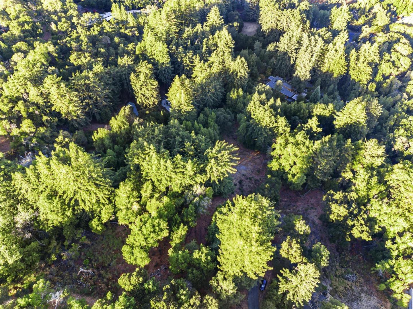 12 Montecito Road, Woodside, California 94062, ,Land,For Sale,12 Montecito Road,ML81985120
