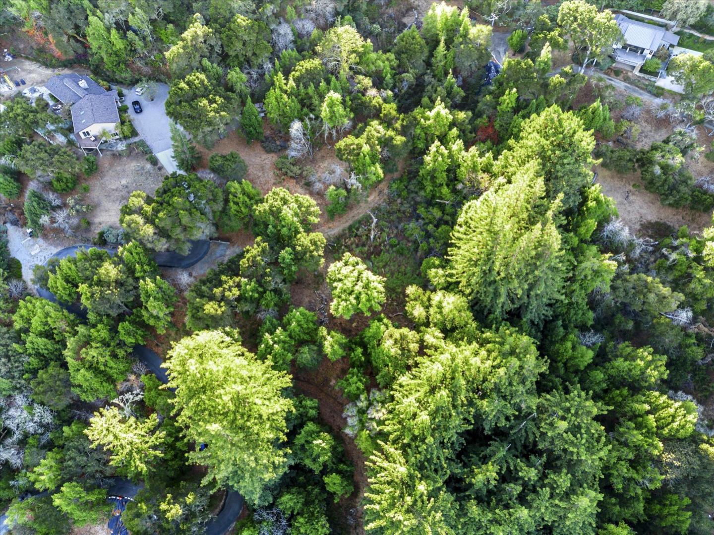 12 Montecito Road, Woodside, California 94062, ,Land,For Sale,12 Montecito Road,ML81985120