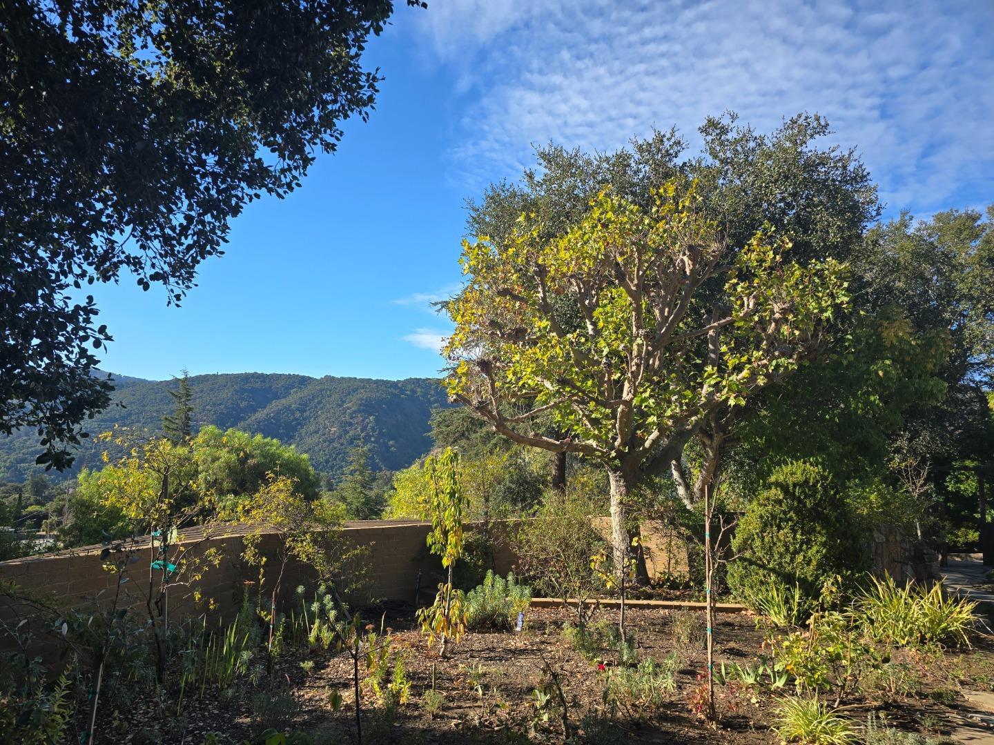 Detail Gallery Image 8 of 61 For 9 Story Road, Carmel Valley,  CA 93924 - 2 Beds | 2/1 Baths