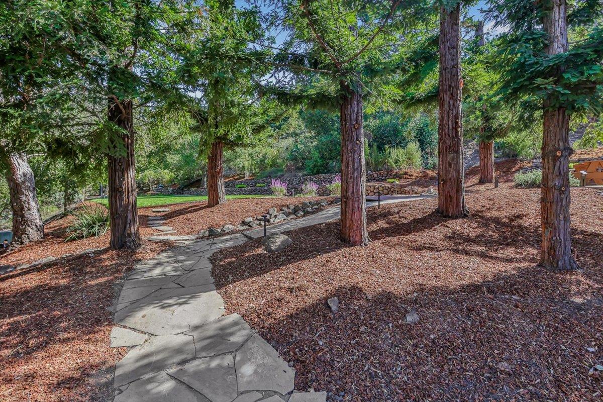 Detail Gallery Image 84 of 90 For 13824 Moon Ln, Los Altos Hills,  CA 94022 - 5 Beds | 5/2 Baths