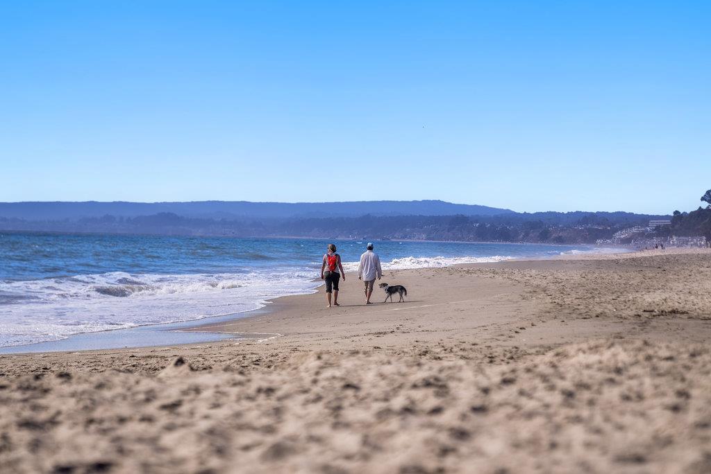 Detail Gallery Image 91 of 97 For 249 via Concha, Aptos,  CA 95003 - 3 Beds | 3/1 Baths