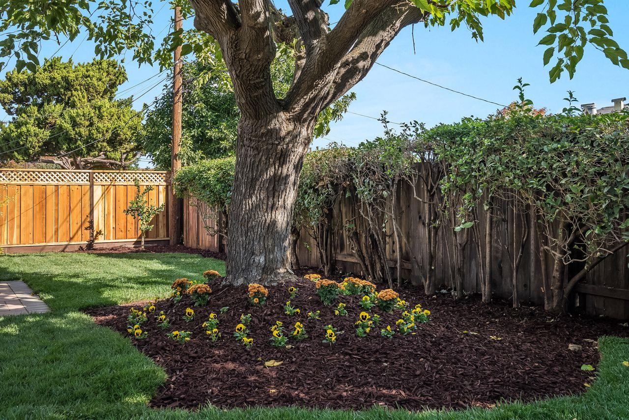 Detail Gallery Image 20 of 35 For 3372 Elaine Dr, San Jose,  CA 95124 - 3 Beds | 2 Baths