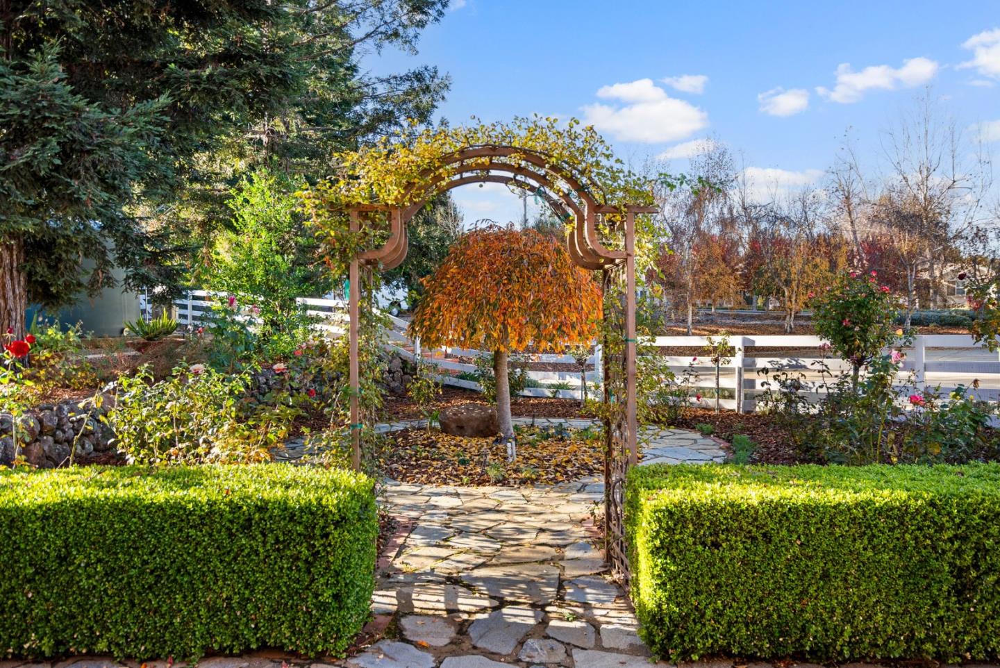 Detail Gallery Image 59 of 71 For 16260 Paradise Valley Ln, Morgan Hill,  CA 95037 - 4 Beds | 3/1 Baths