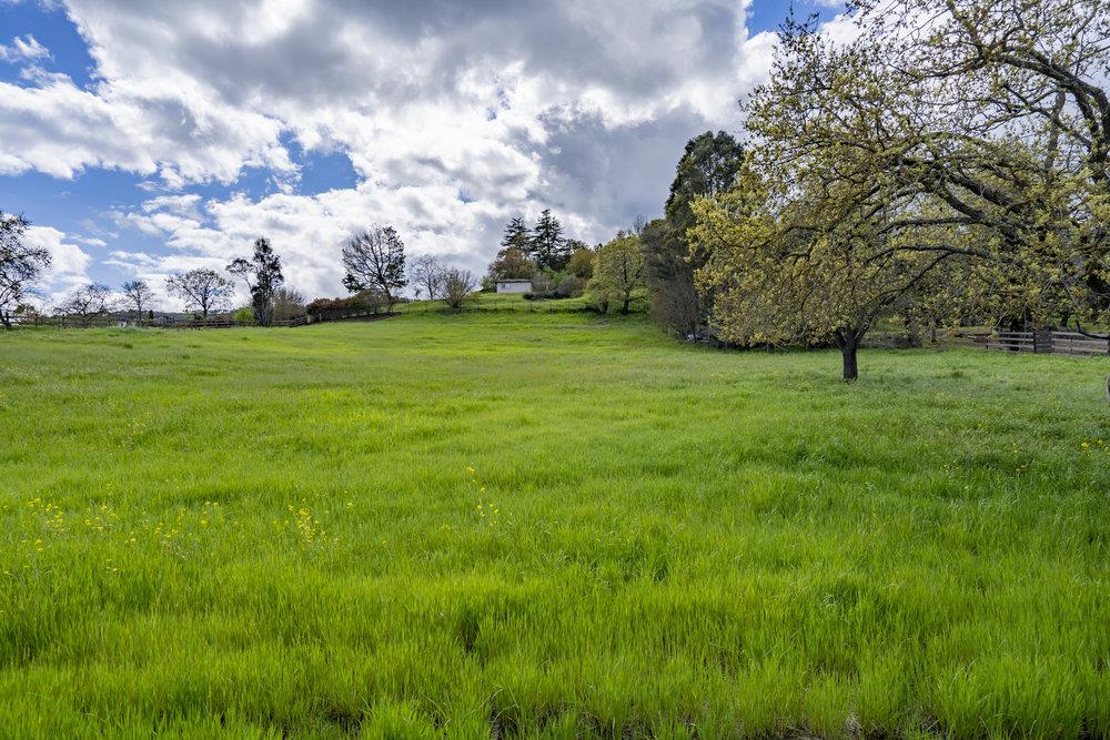 Detail Gallery Image 12 of 24 For 1545 W Edmundson Ave, Morgan Hill,  CA 95037 - 3 Beds | 1 Baths