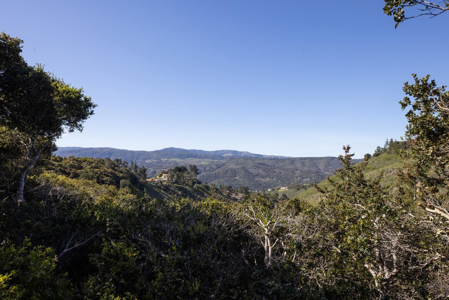 Detail Gallery Image 10 of 20 For 25455 Tierra Grande Dr, Carmel Valley,  CA 93923 - 3 Beds | 2 Baths