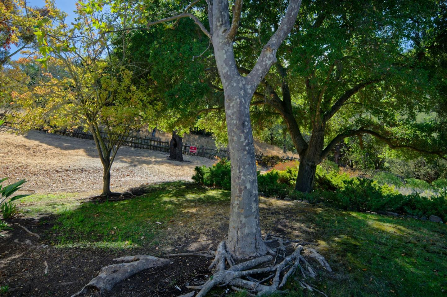 Detail Gallery Image 44 of 54 For 1322 Copper Peak Ln, San Jose,  CA 95120 - 3 Beds | 2 Baths