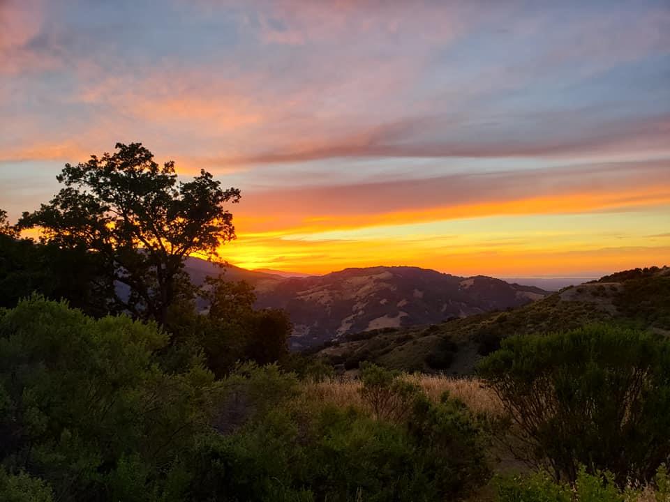 0 0 Via Vespero, San Jose, California 95120, ,Land,For Sale,0 0 Via Vespero,ML81985697
