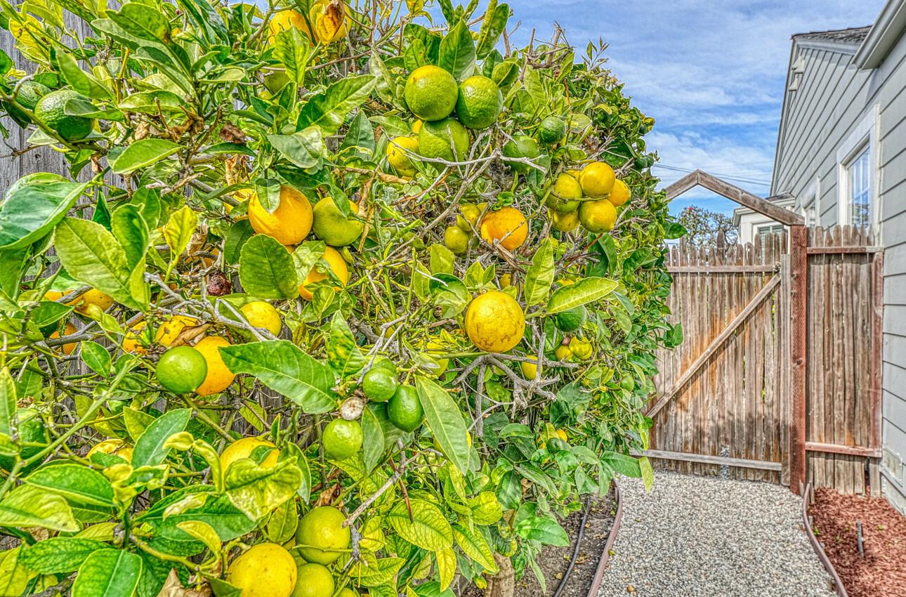 Detail Gallery Image 38 of 38 For 29 Talbot St, Salinas,  CA 93901 - 3 Beds | 2 Baths