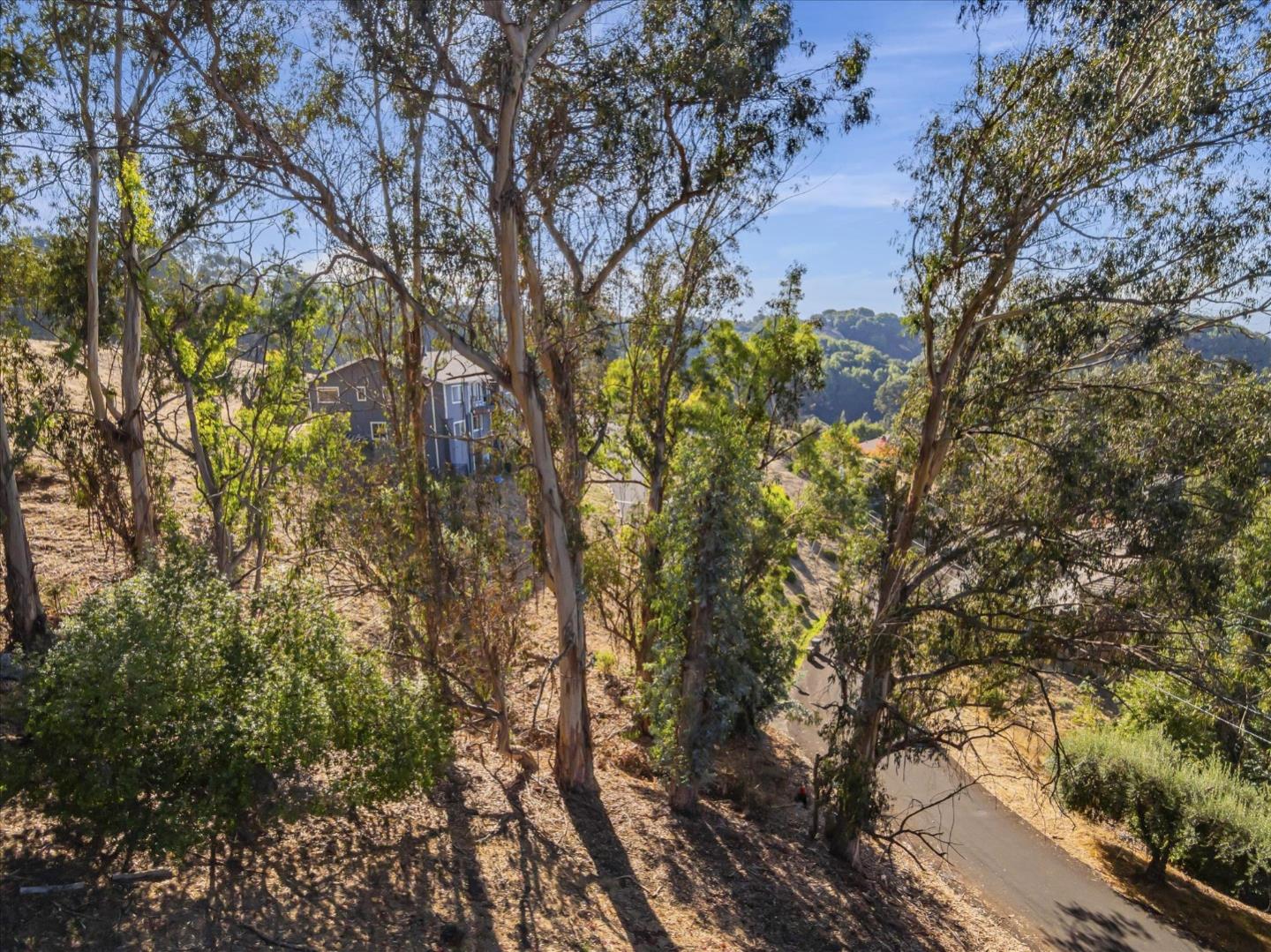 11388 Lochard Street, Oakland, California 94605, ,Land,For Sale,11388 Lochard Street,ML81986105