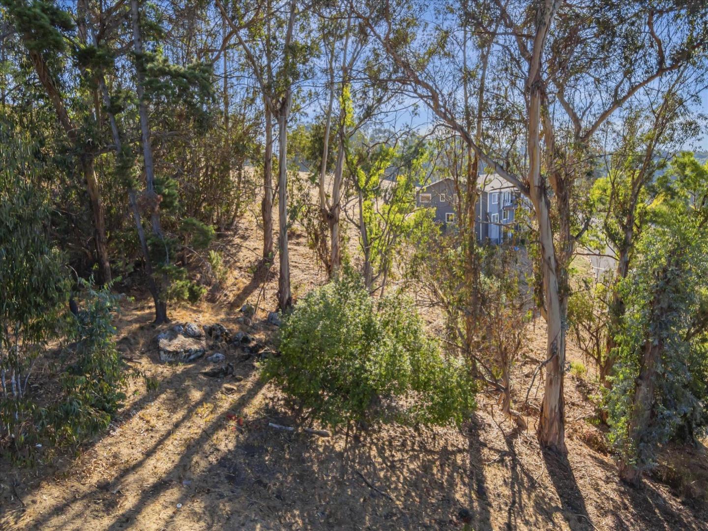 11388 Lochard Street, Oakland, California 94605, ,Land,For Sale,11388 Lochard Street,ML81986105