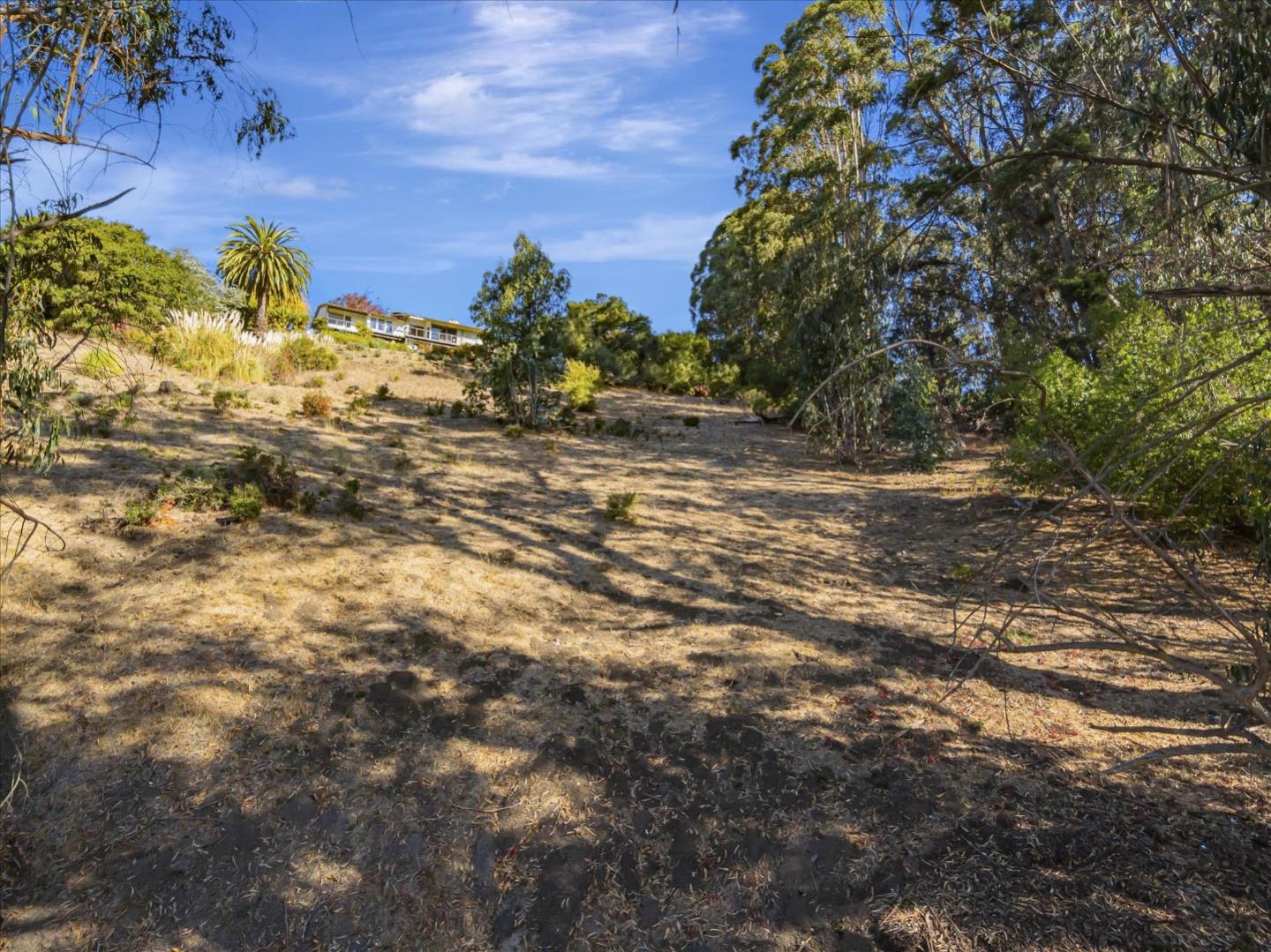 11388 Lochard Street, Oakland, California 94605, ,Land,For Sale,11388 Lochard Street,ML81986105