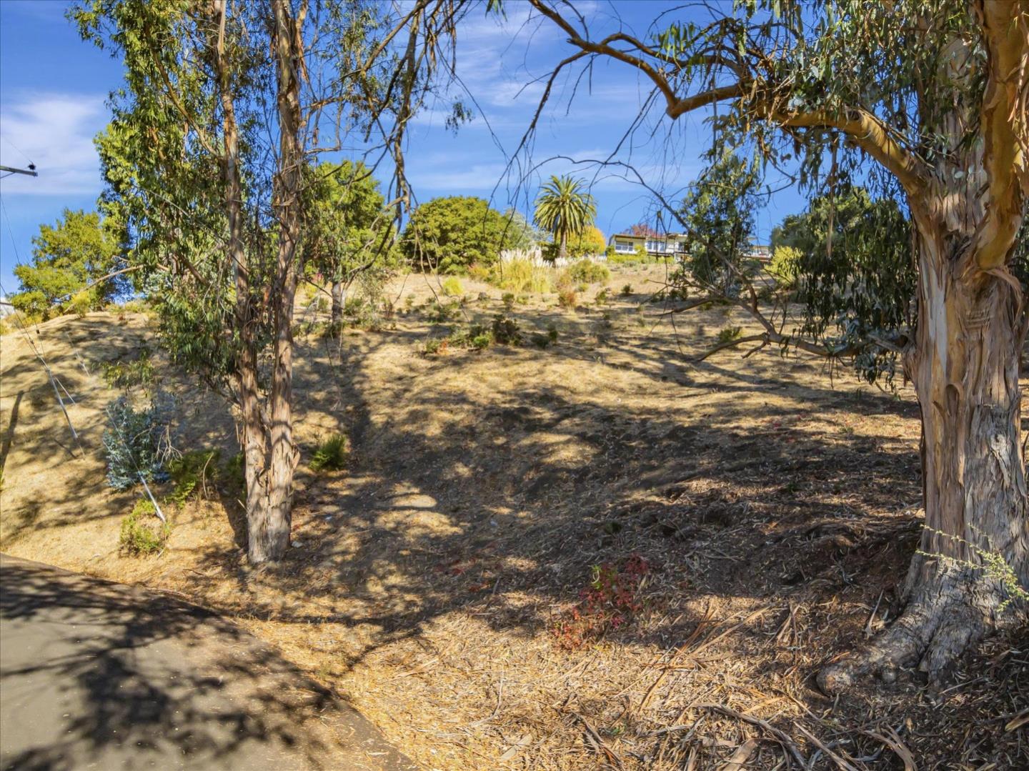 11388 Lochard Street, Oakland, California 94605, ,Land,For Sale,11388 Lochard Street,ML81986105