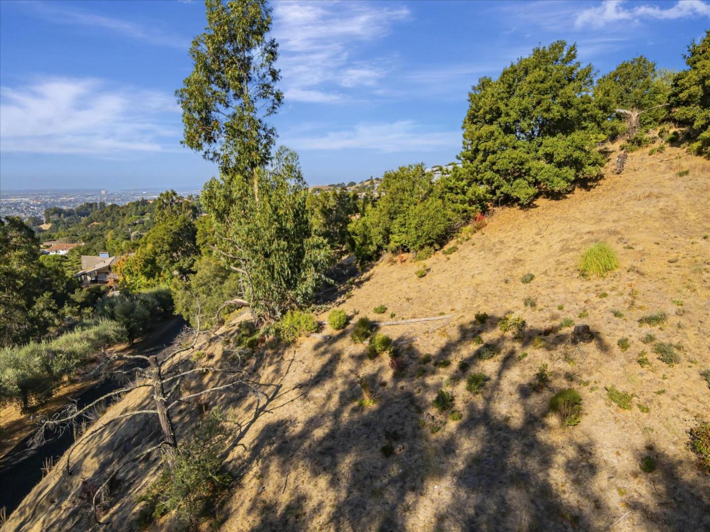 11388 Lochard Street, Oakland, California 94605, ,Land,For Sale,11388 Lochard Street,ML81986105