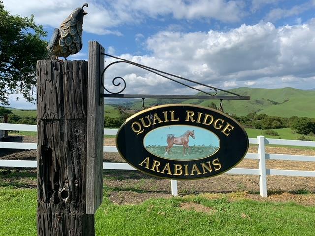 Detail Gallery Image 2 of 19 For 1537 School Rd, San Juan Bautista,  CA 95045 - – Beds | – Baths