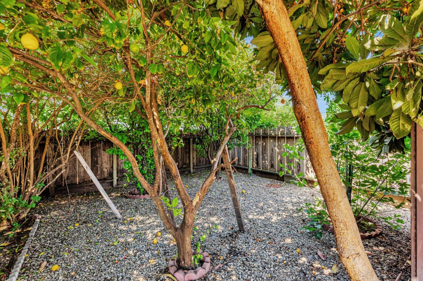Detail Gallery Image 39 of 39 For 263 Maple St, Hollister,  CA 95023 - 3 Beds | 1 Baths