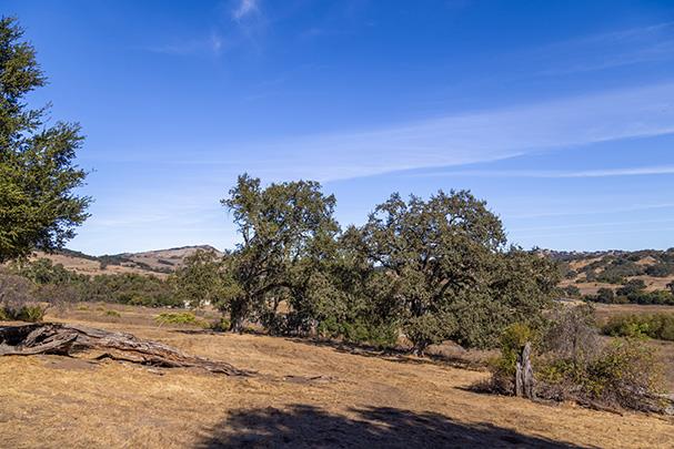 Detail Gallery Image 8 of 24 For 3 via Vaquera, Carmel,  CA 93923 - – Beds | – Baths