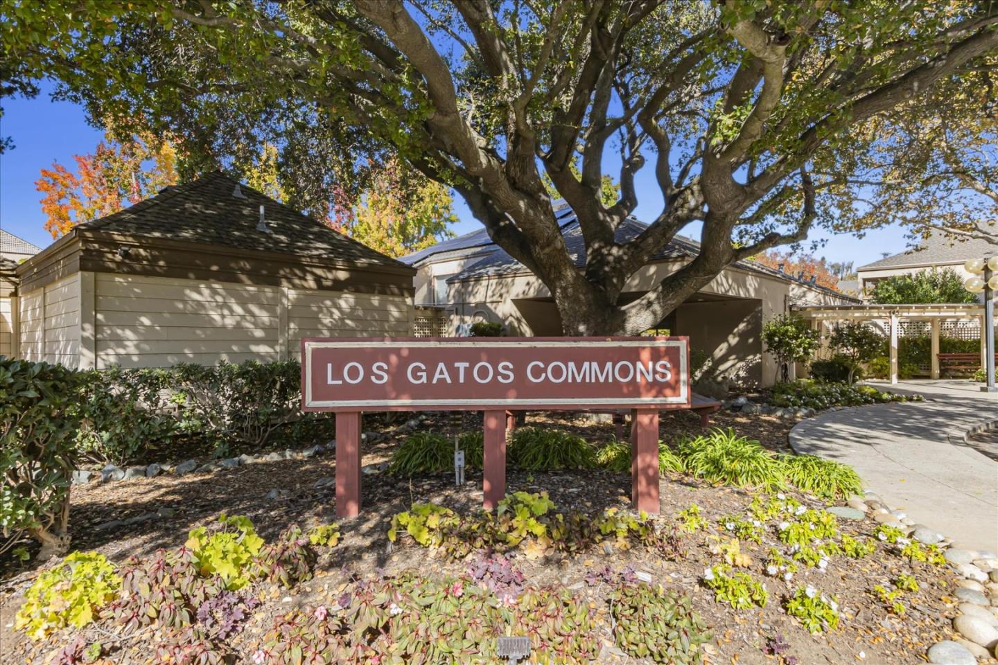 Detail Gallery Image 33 of 33 For 451 Alberto Way #248,  Los Gatos,  CA 95032 - 2 Beds | 1 Baths