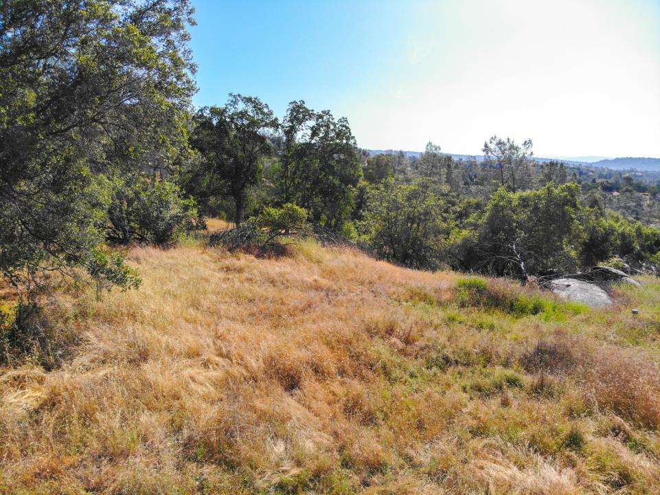 Detail Gallery Image 2 of 15 For 0 Long Hollow Dr, Coarsegold,  CA 93614 - – Beds | – Baths