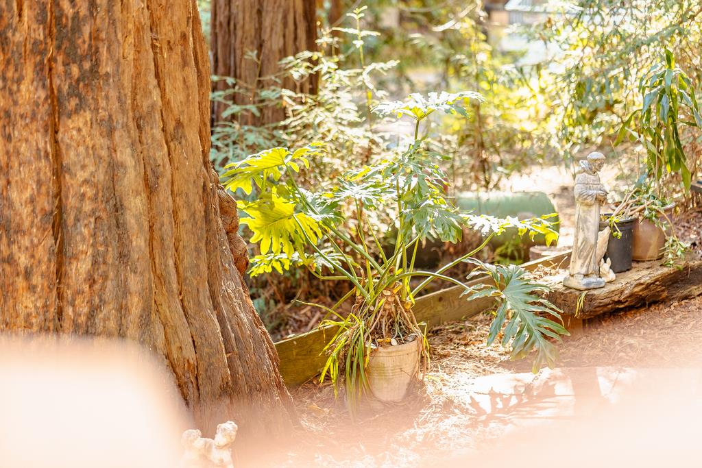 Detail Gallery Image 44 of 48 For 2001 Cathedral Dr, Aptos,  CA 95003 - 2 Beds | 2 Baths