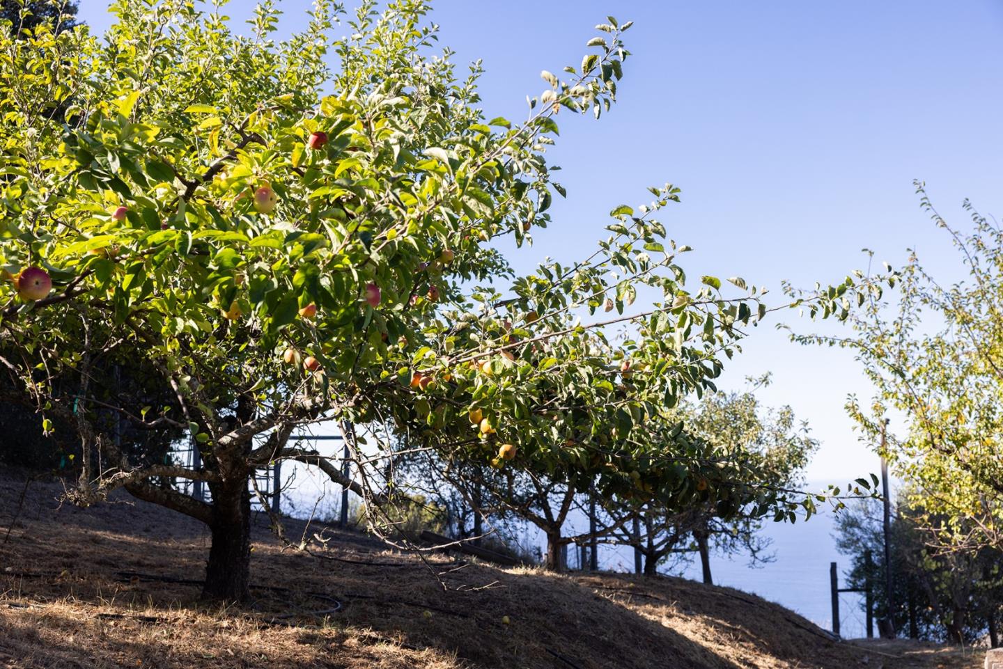 47320 Highway 1, Big Sur, CA, 93920