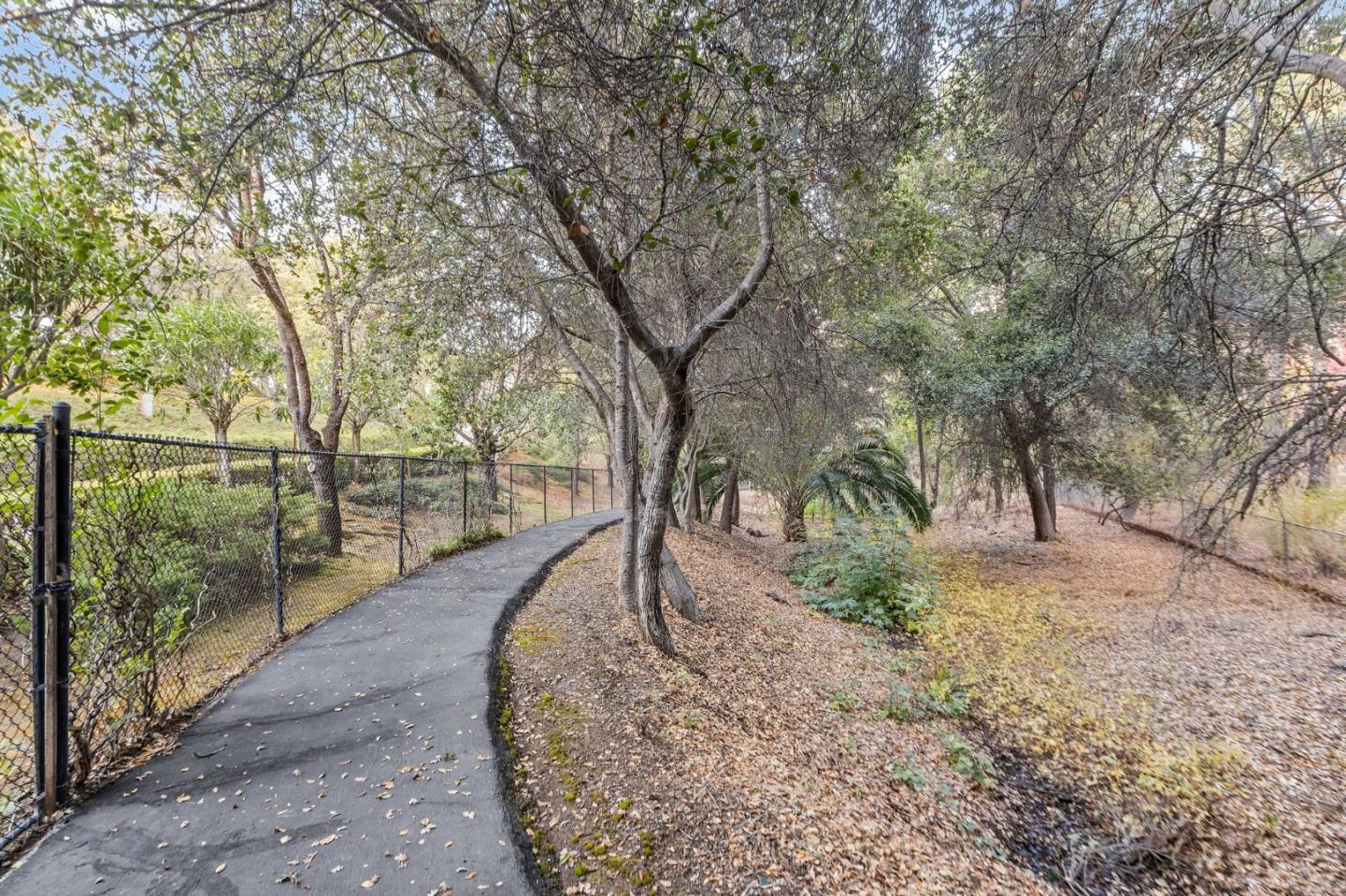 Detail Gallery Image 66 of 74 For 14429 Chester Ave, Saratoga,  CA 95070 - 6 Beds | 3/1 Baths