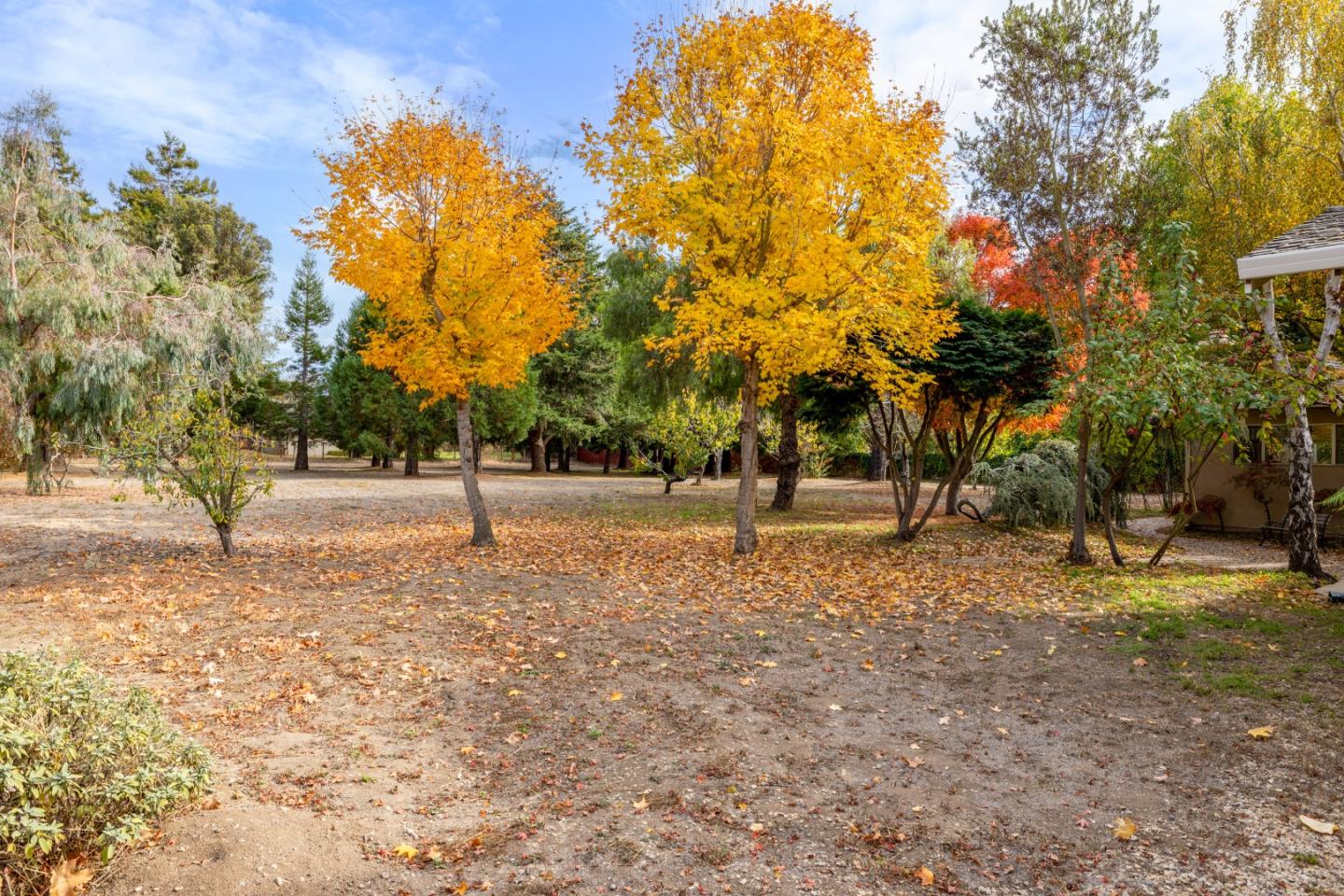 Detail Gallery Image 61 of 81 For 7540 Fern Ct, Carmel Valley,  CA 93923 - 4 Beds | 3 Baths