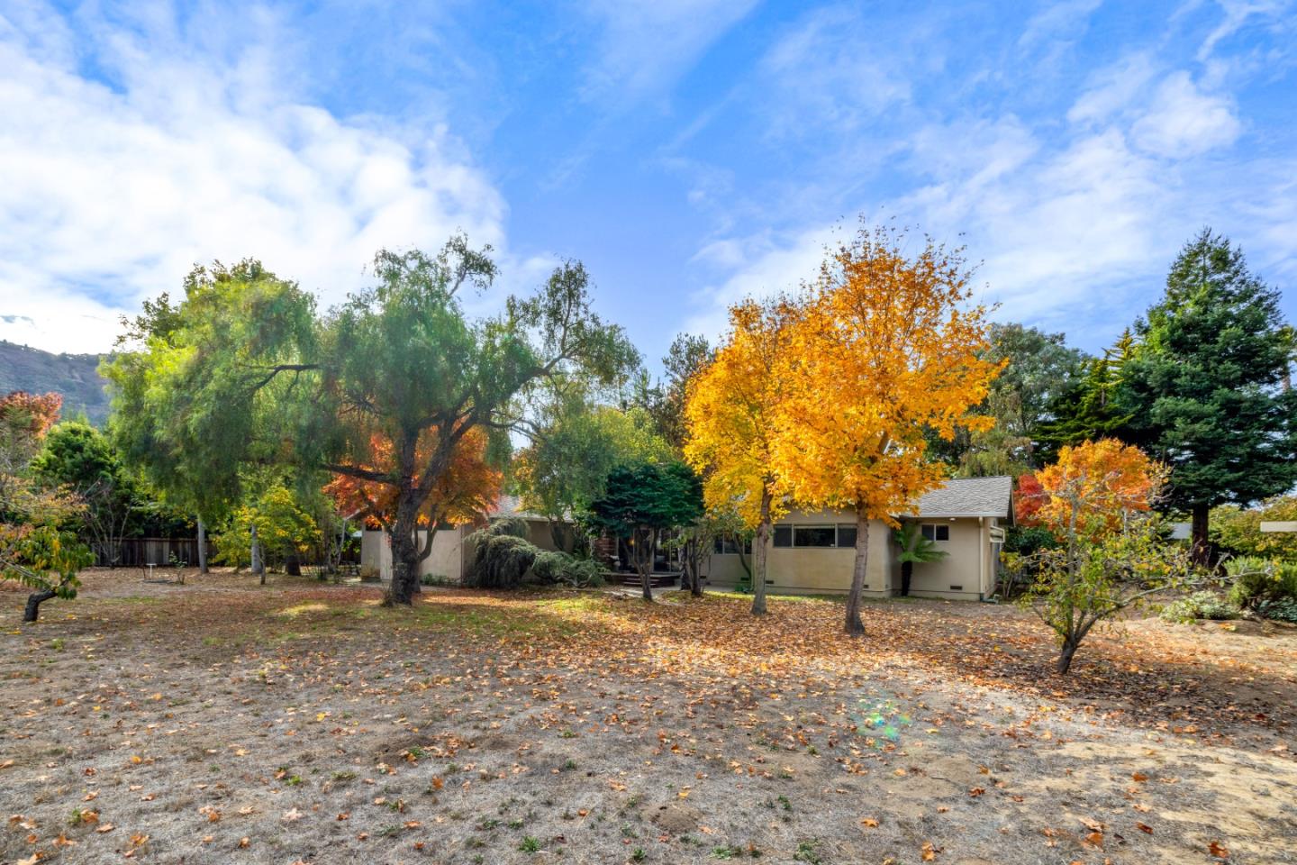 Detail Gallery Image 63 of 81 For 7540 Fern Ct, Carmel Valley,  CA 93923 - 4 Beds | 3 Baths