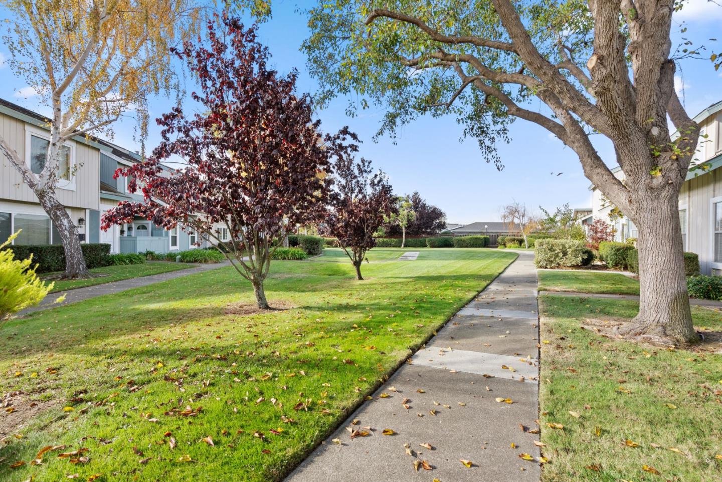 Detail Gallery Image 39 of 42 For 1016 Condor Ln, Foster City,  CA 94404 - 2 Beds | 2/1 Baths