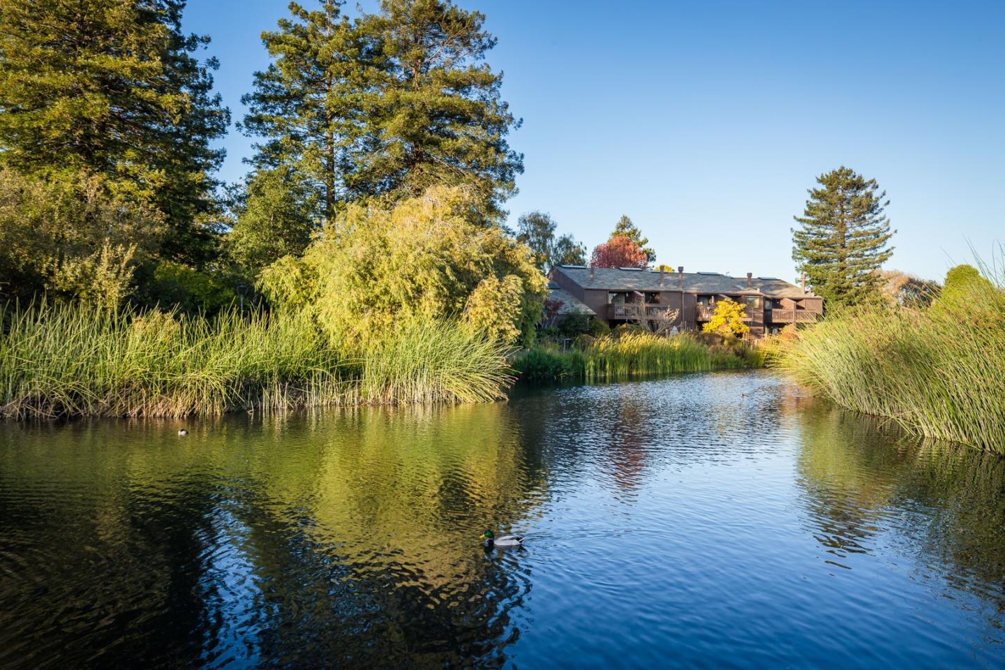 Detail Gallery Image 1 of 23 For 102 Shelter Lagoon, Santa Cruz,  CA 95060 - 2 Beds | 2 Baths