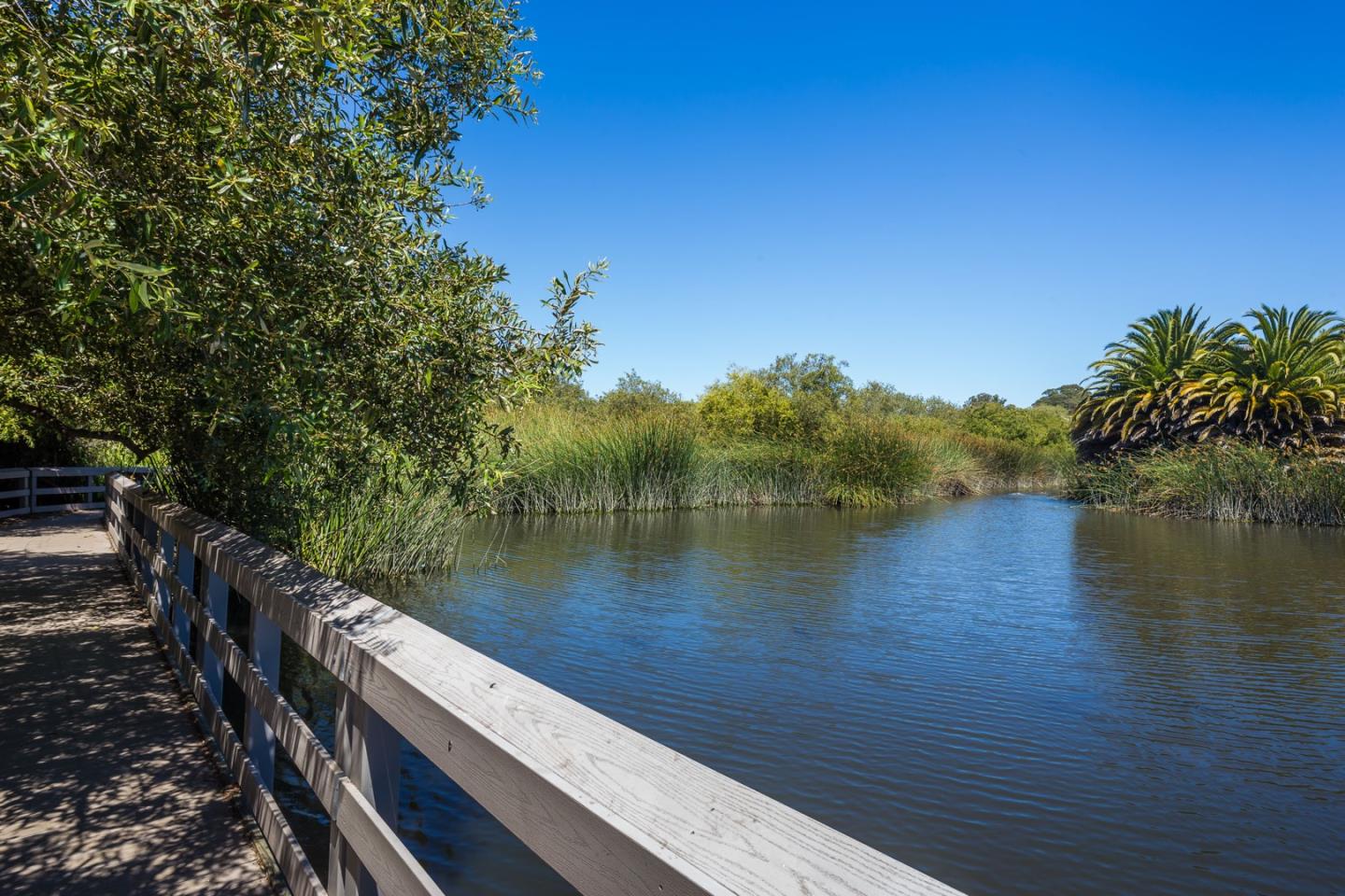 Detail Gallery Image 17 of 23 For 102 Shelter Lagoon, Santa Cruz,  CA 95060 - 2 Beds | 2 Baths